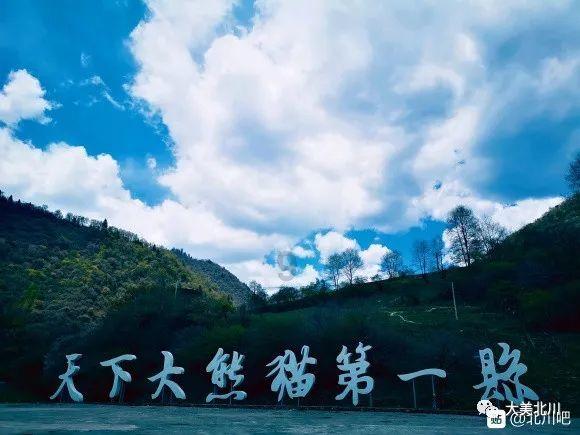 植物大战僵尸14